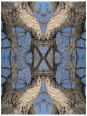 Muster fr Deckendekor 600 x 450 cm