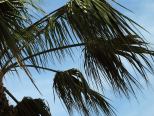 mallorca impressionen