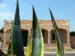 mallorca impressionen