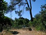 mallorca impressionen