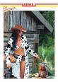 REWE Girl August 2005