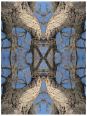 Muster fr Deckendekor 600 x 450 cm