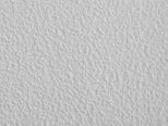 Sand Raw