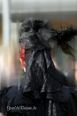 Gothic Treffen 2011
